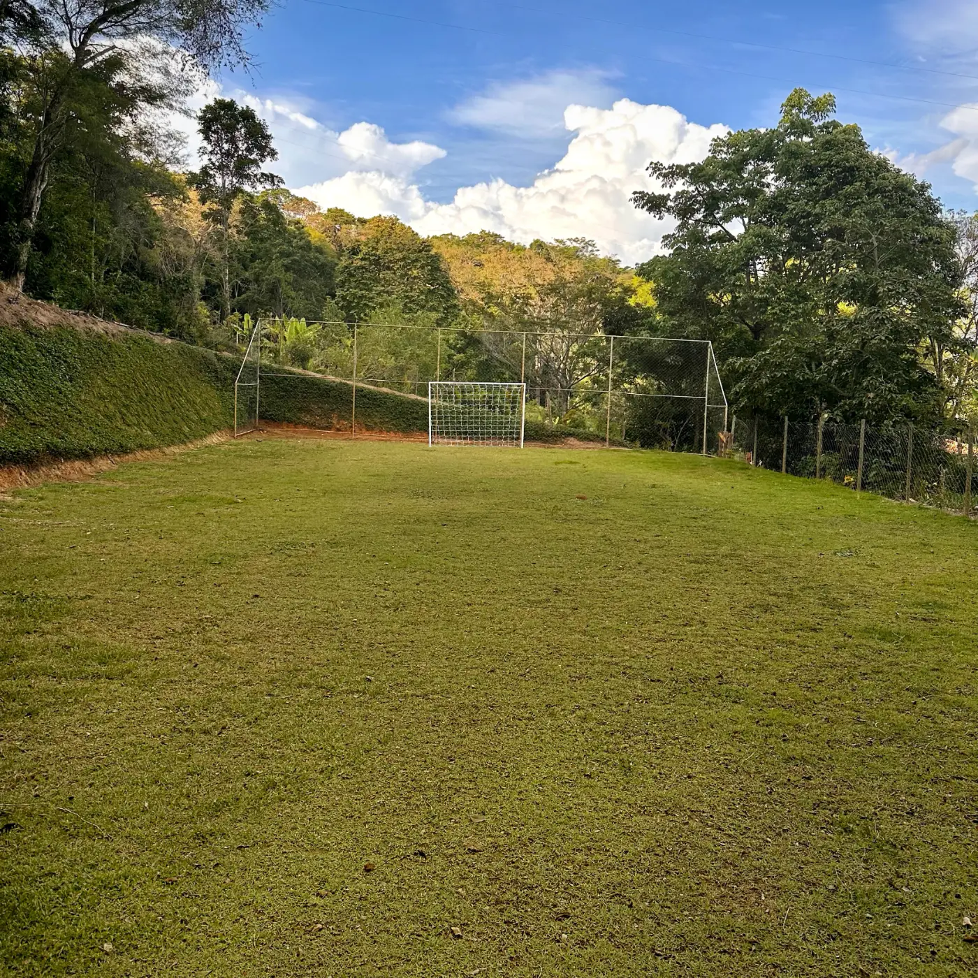 Campo de futebol gramado, com trave e a mata em volta